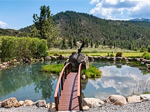 Pond Bridge 2